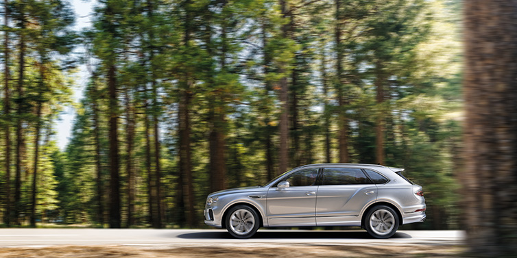 Bentley Birmingham Bentley Bentayga Extended Wheelbase SUV in Moonbeam paint driving dynamically on a forest road